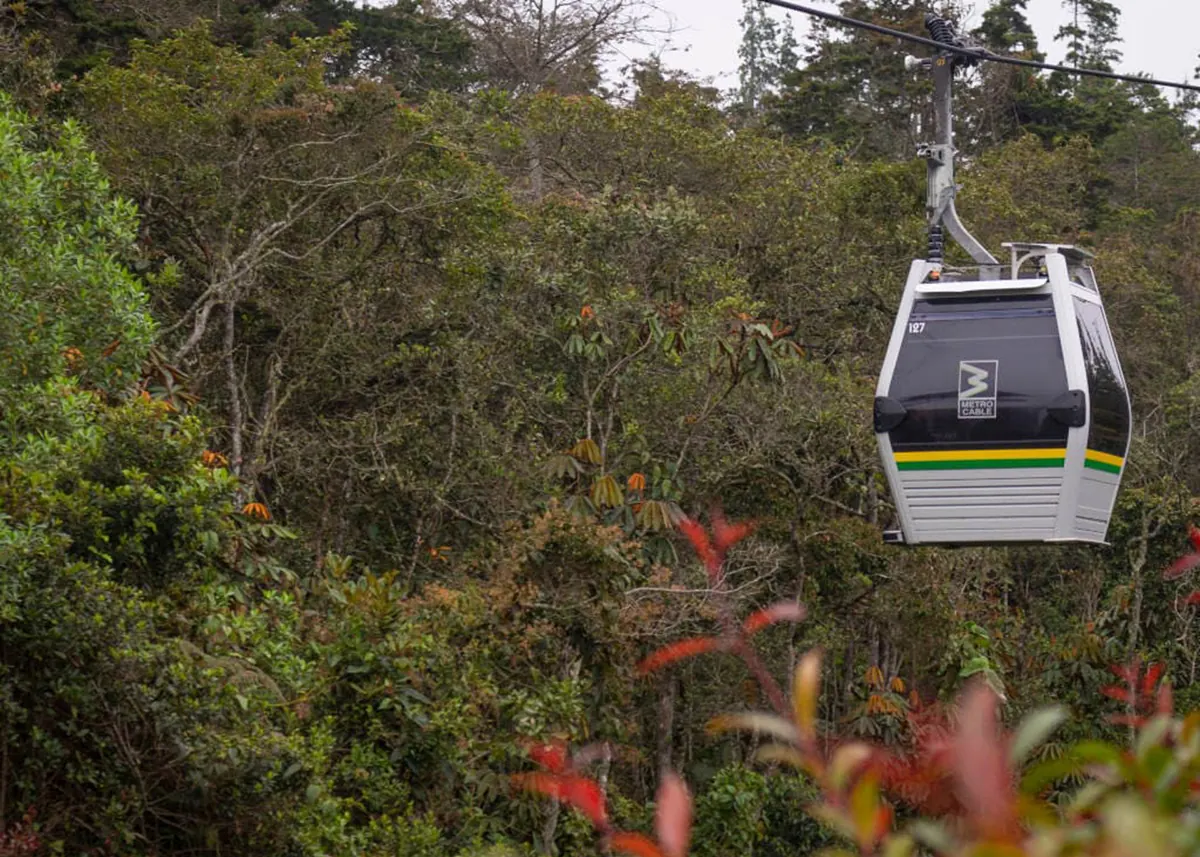 Cabina del metrocable sobre el bosque de niebla del Parque Arví